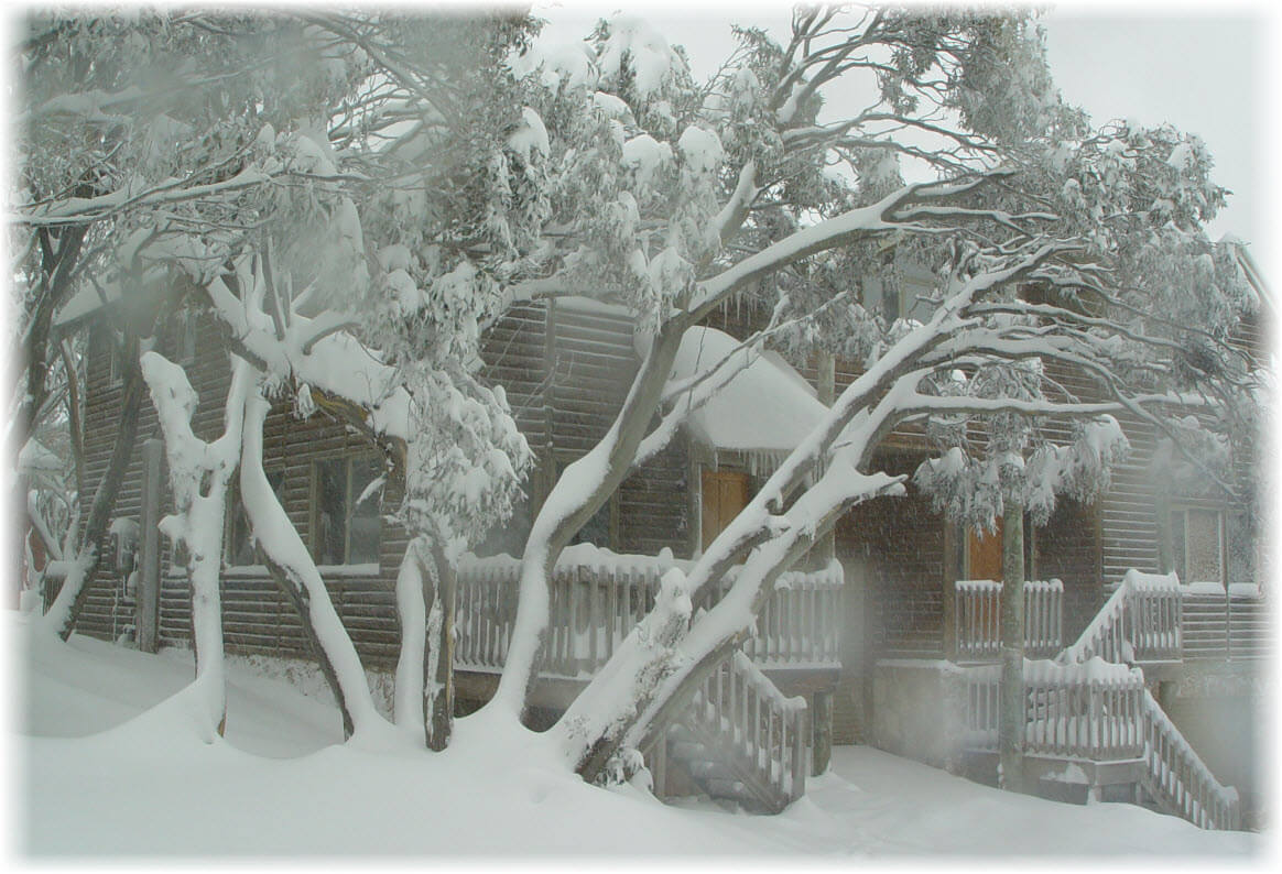 Brackenwood 3